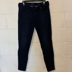 Liverpool Dark Wash Black Skinny Jeans